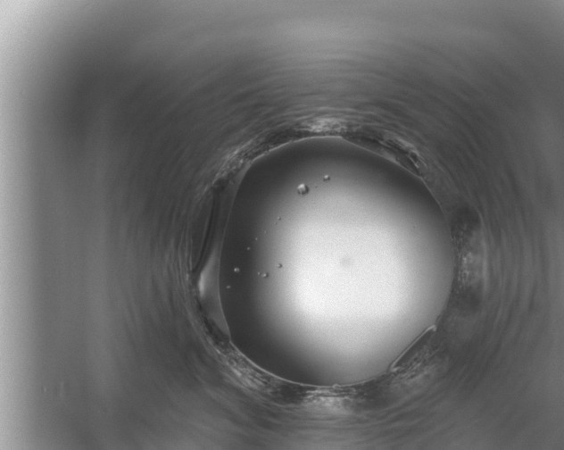 X0000058120620200509301928