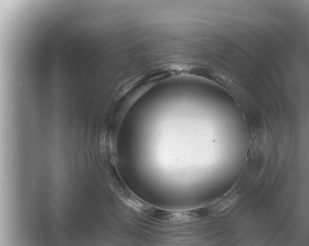 X0000058120623200509301928