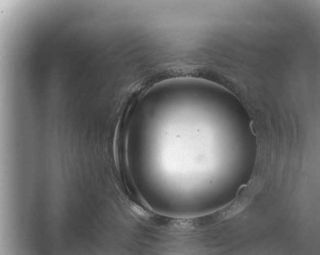 X0000058120624200509301928