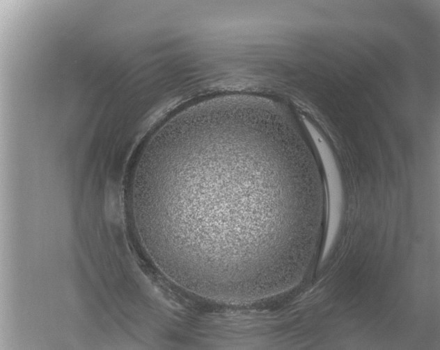 X0000058120626200509301927