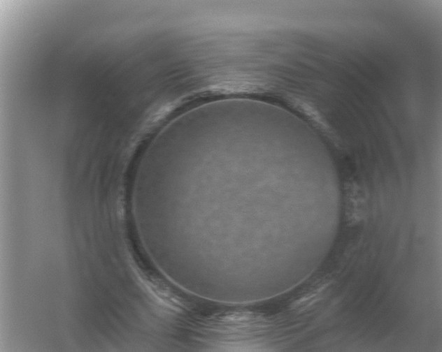 X0000058120631200509301927