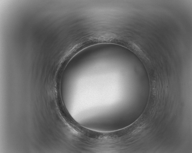 X0000058120634200509301927