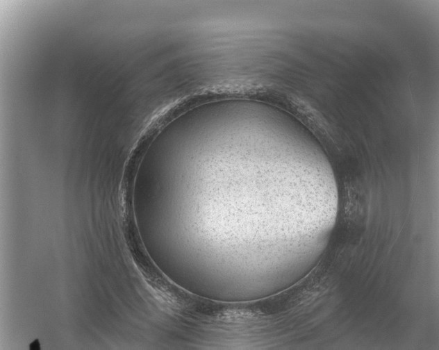 X0000058120636200509301928