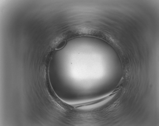 X0000058120637200509301928