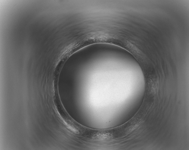 X0000058120638200509301928