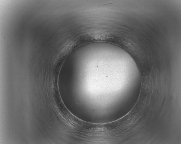 X0000058120639200509301928