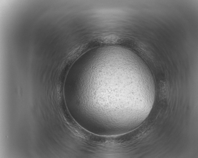 X0000058120641200509301928