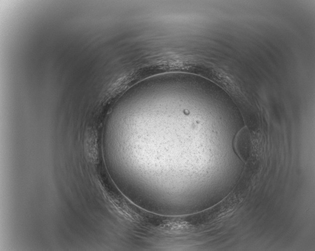 X0000058120642200509301928