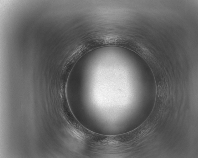 X0000058120648200509301928