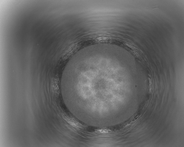 X0000058120654200509301928