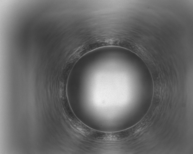 X0000058120656200509301928