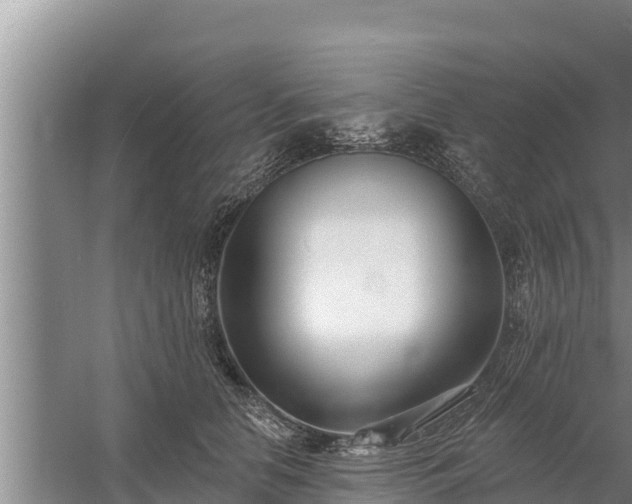 X0000058120658200509301928