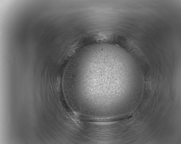 X0000058120660200509301928