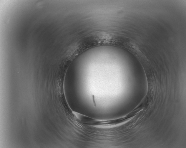 X0000058120661200509301928