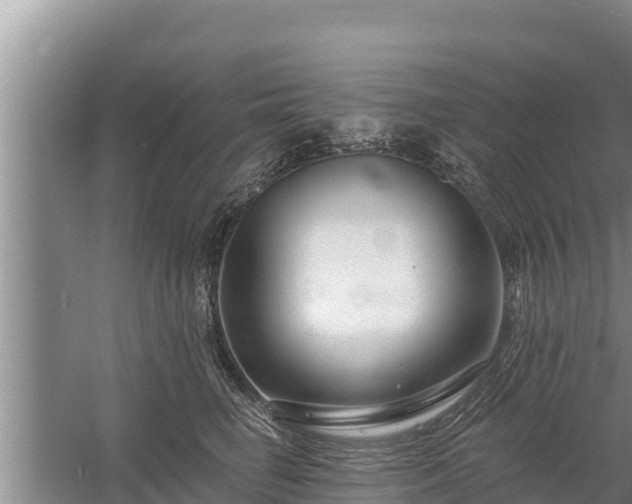 X0000058120662200509301928