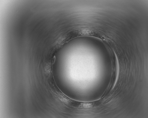 X0000058120665200509301928