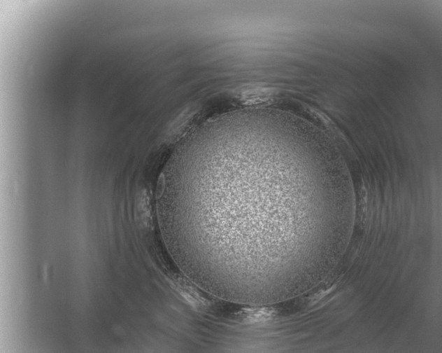 X0000058120667200509301928