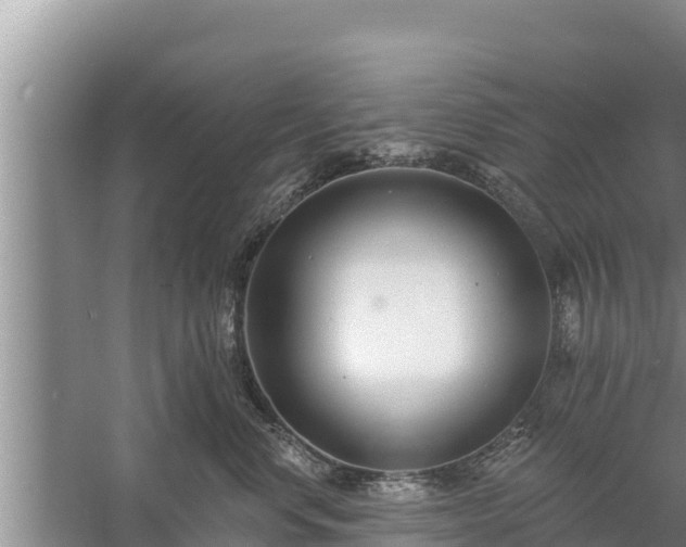 X0000058120668200509301928