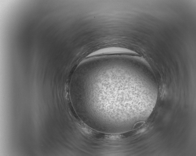 X0000058120671200509301928