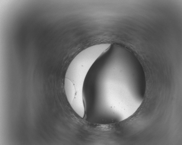 X0000058120672200509301928