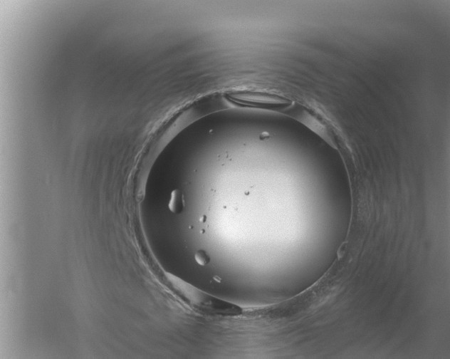 X0000058120673200509301927