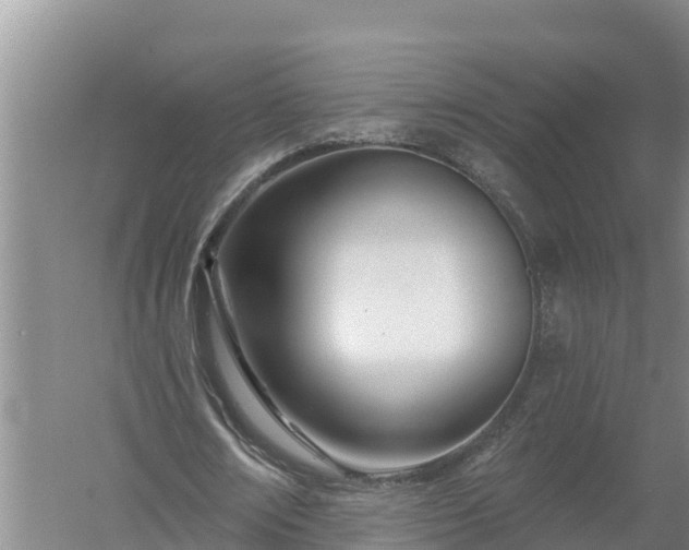 X0000058120674200509301927