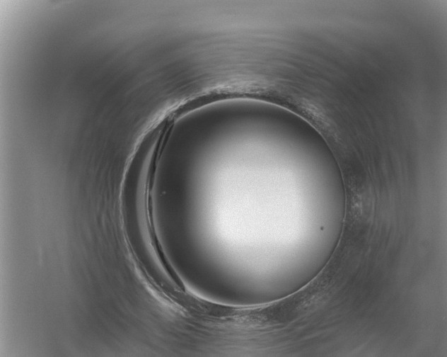 X0000058120678200509301927