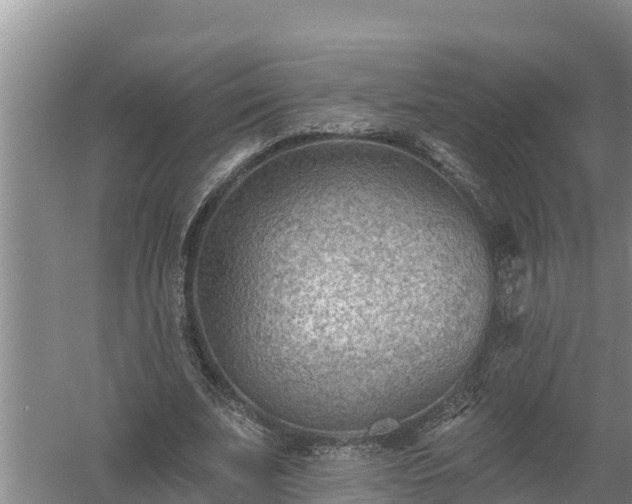 X0000058120679200509301927