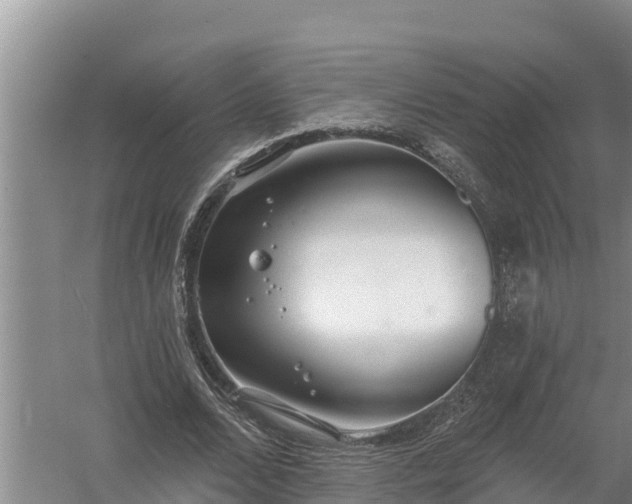 X0000058120680200509301927