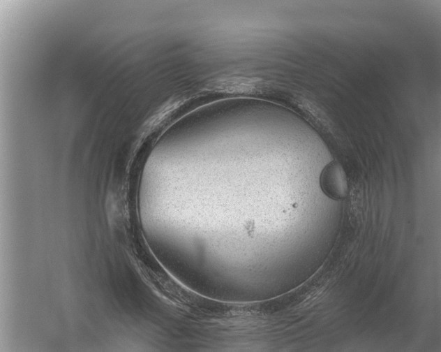 X0000058120682200509301927