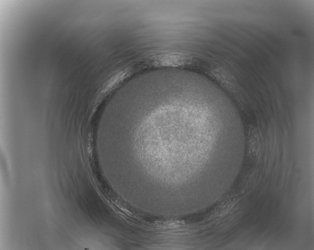 X0000058120683200509301927