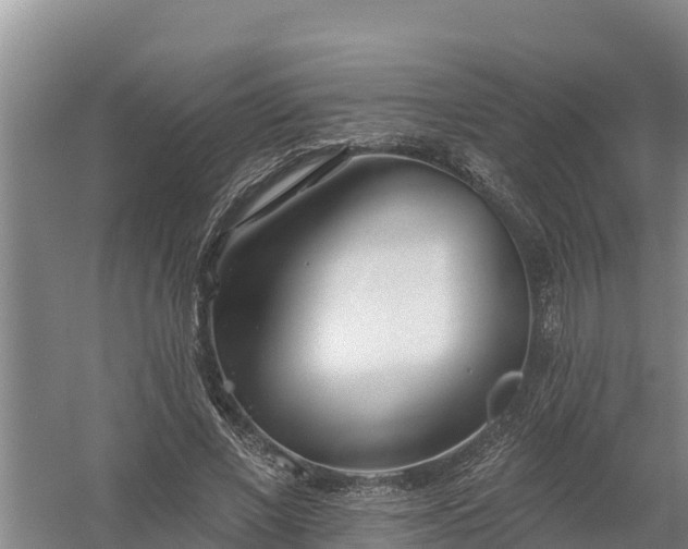 X0000058120685200509301927