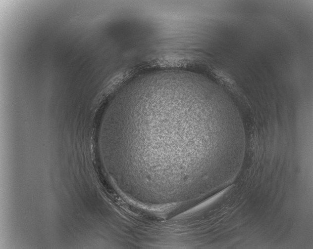 X0000058120687200509301927