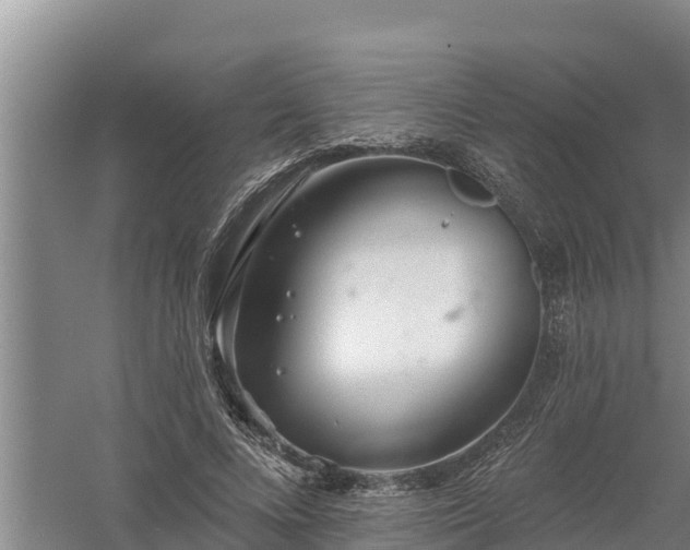 X0000058120688200509301927