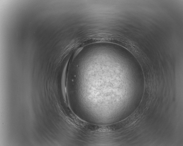 X0000058120696200509301927