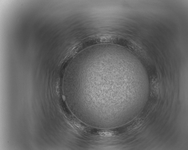 X0000058120698200509301927