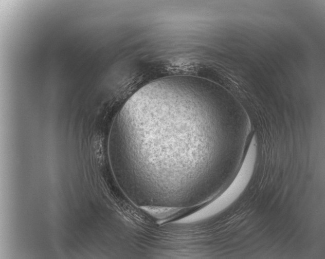 X0000058120699200509301927