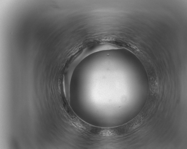 X0000058120704200509301927