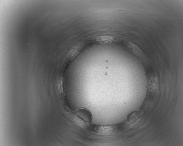 X0000058120717200509301927