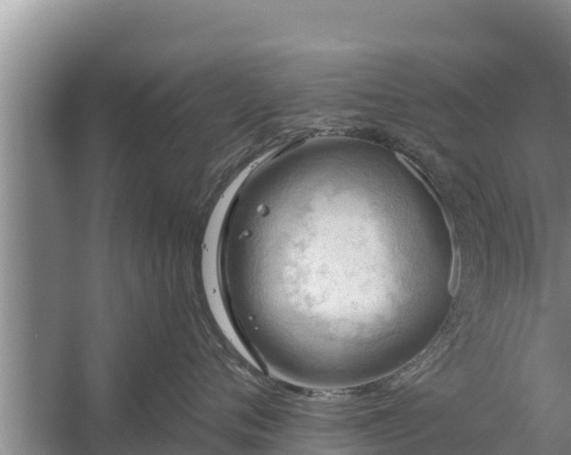 X0000058120720200509301927