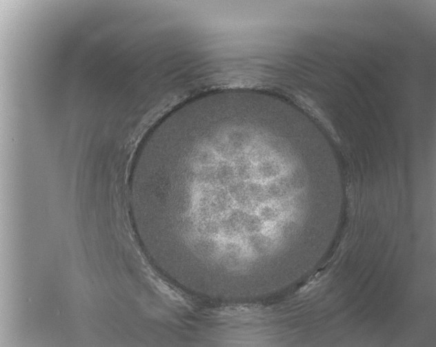 X0000058120721200509301926