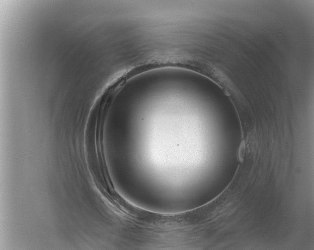 X0000058120722200509301926