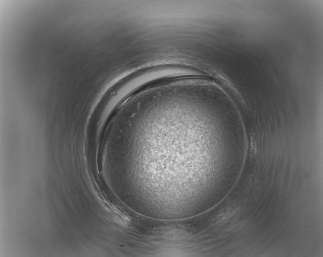 X0000058120724200509301926