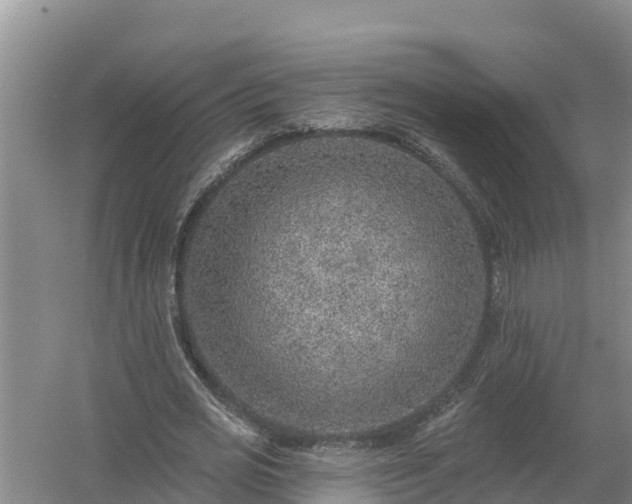 X0000058120725200509301926