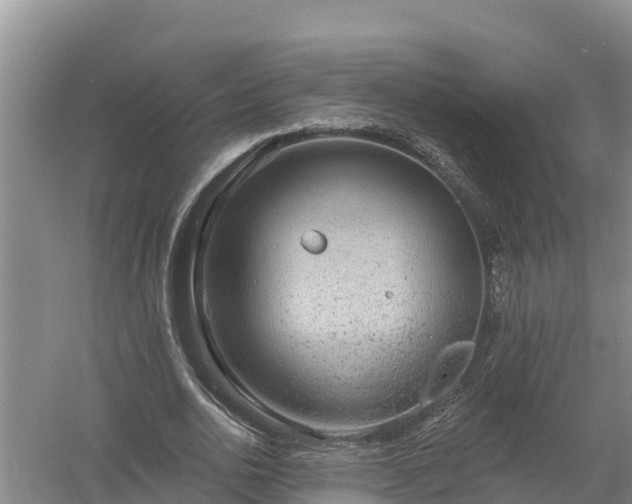 X0000058120726200509301926