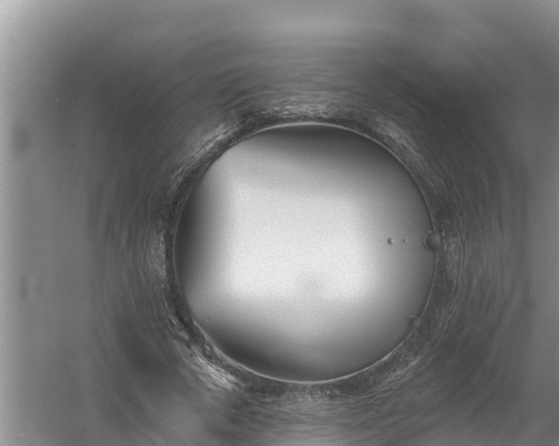 X0000058120729200509301926