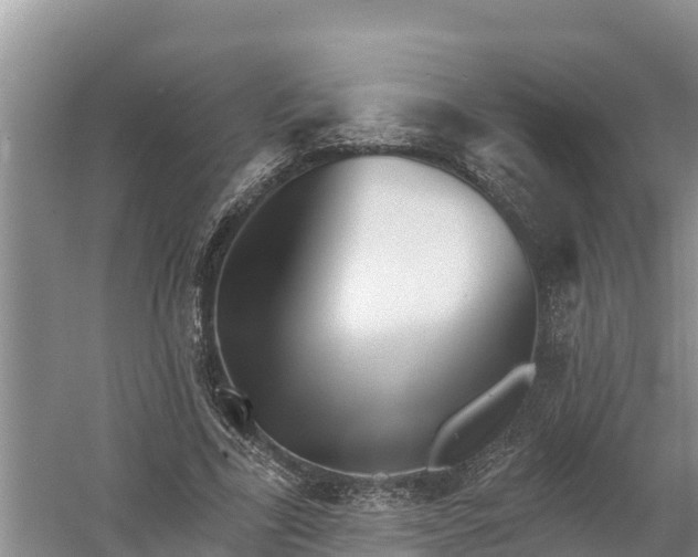 X0000058120731200509301926