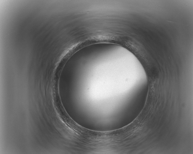 X0000058120732200509301926