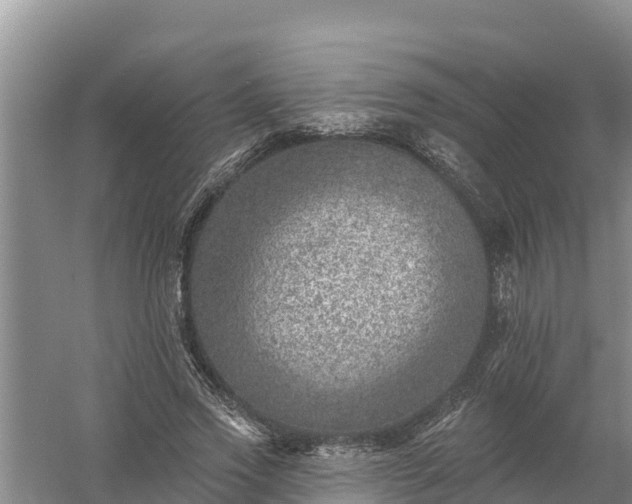 X0000058120733200509301926