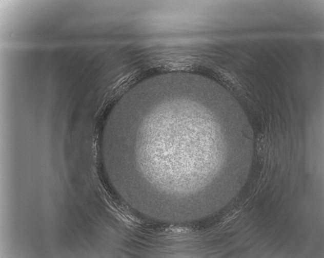 X0000058120741200509301926